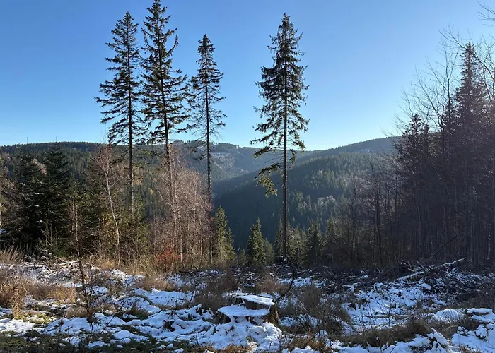 דירה Powiew Karkonoszy *