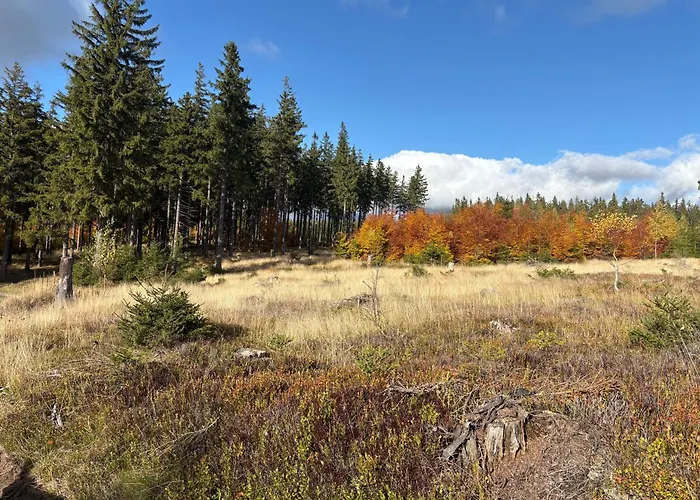 Powiew Karkonoszy * קובארה